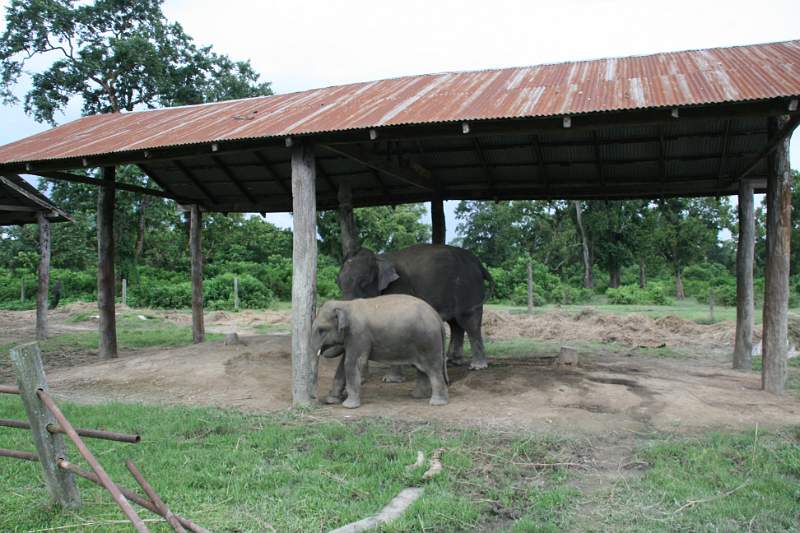 India & Nepal 2011 - 0605